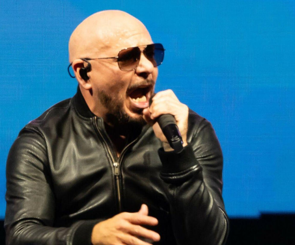 Pitbull liderem zestawienia Google!