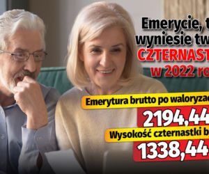 Emerycie, tyle wyniesie twoja czternastka w 2022 roku!
