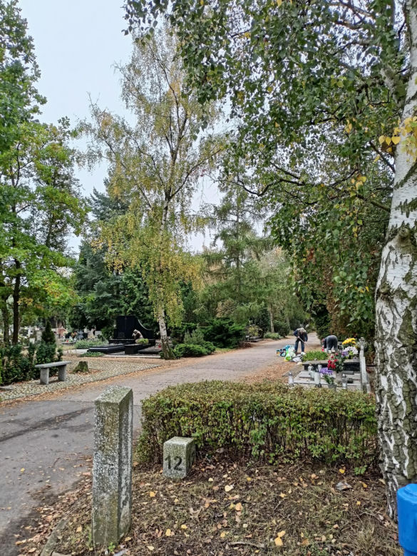 Cmentarz Junikowo Poznań