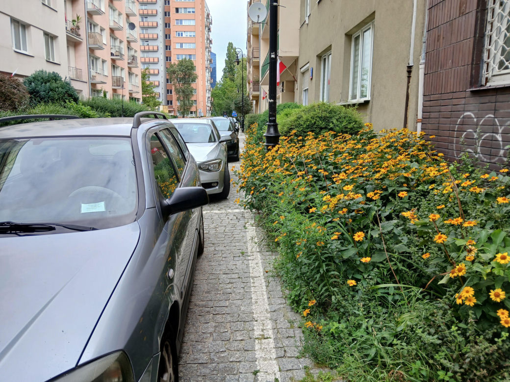Ulica Andrzejowska w Warszawie