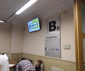 Kolejki po paszport w Dolnośląskim Urzędzie Wojewódzkim