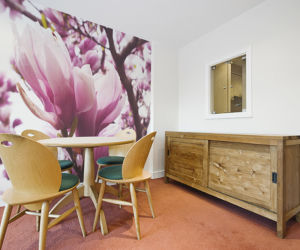 Fototapeta z magnoliami