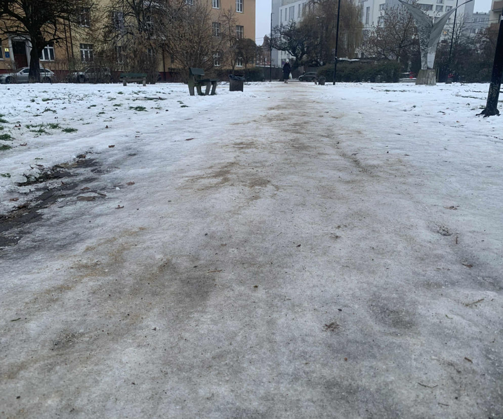 Zima w Bydgoszczy. W razie kryzysu drogowcy są dostępni przez całą dobę. Gdzie zgłosić nieodśnieżoną ulicę?