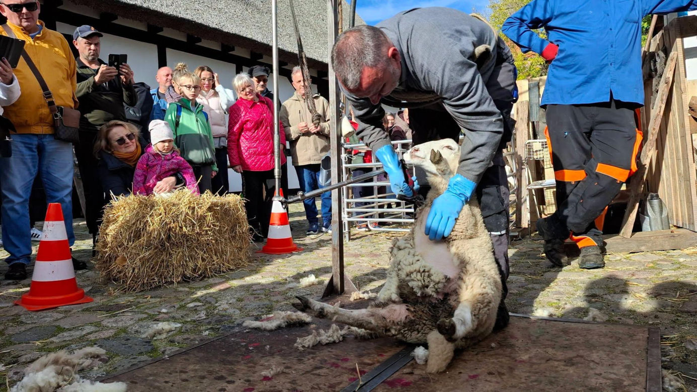 IV Jamneńskie Zakończenie Sezonu Pasterskiego