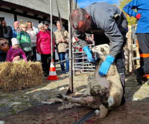 IV Jamneńskie Zakończenie Sezonu Pasterskiego