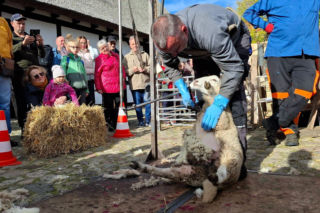 IV Jamneńskie Zakończenie Sezonu Pasterskiego