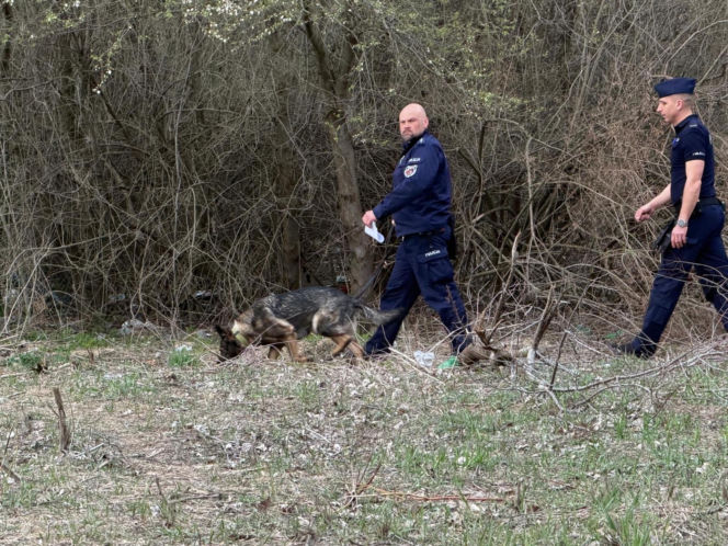 Wielkanocna awantura na ogórdkach działkowych. W ruch poszedł nóż