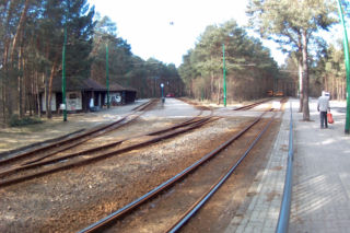Tramwaje wracają do pętli Las Gdański! W Babiej Wsi ruch nadal wstrzymany
