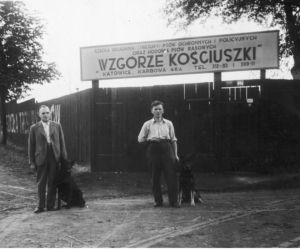 Szkoła układania (tresury) psów ochronnych i policyjnych oraz hodowla psów rasowych w Katowicach