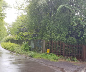  Katowice. Kolejne osiedle zamiast zieleni. Wytną drzewa! Mieszkańcy są OBURZENI! 