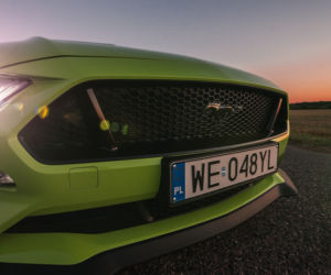 Ford Mustang GT 5.0 V8 55 Edition