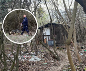 Wielkanocna awantura na ogródkach działkowych. Doszło do ataku nożem