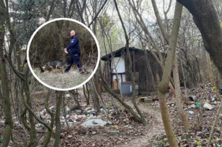 Atak nożem na warszawskich działkach. Ranny 41-latek