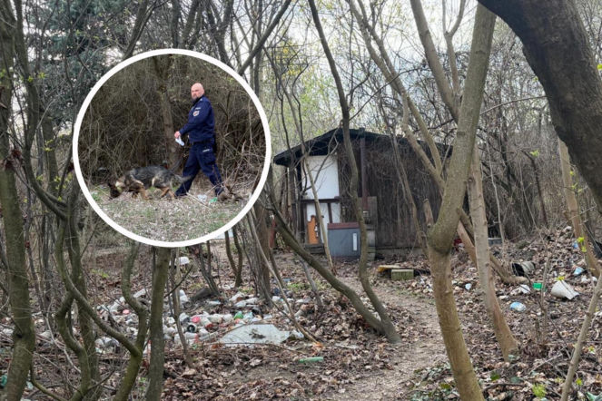 Atak nożem na warszawskich działkach. Ranny 41-latek