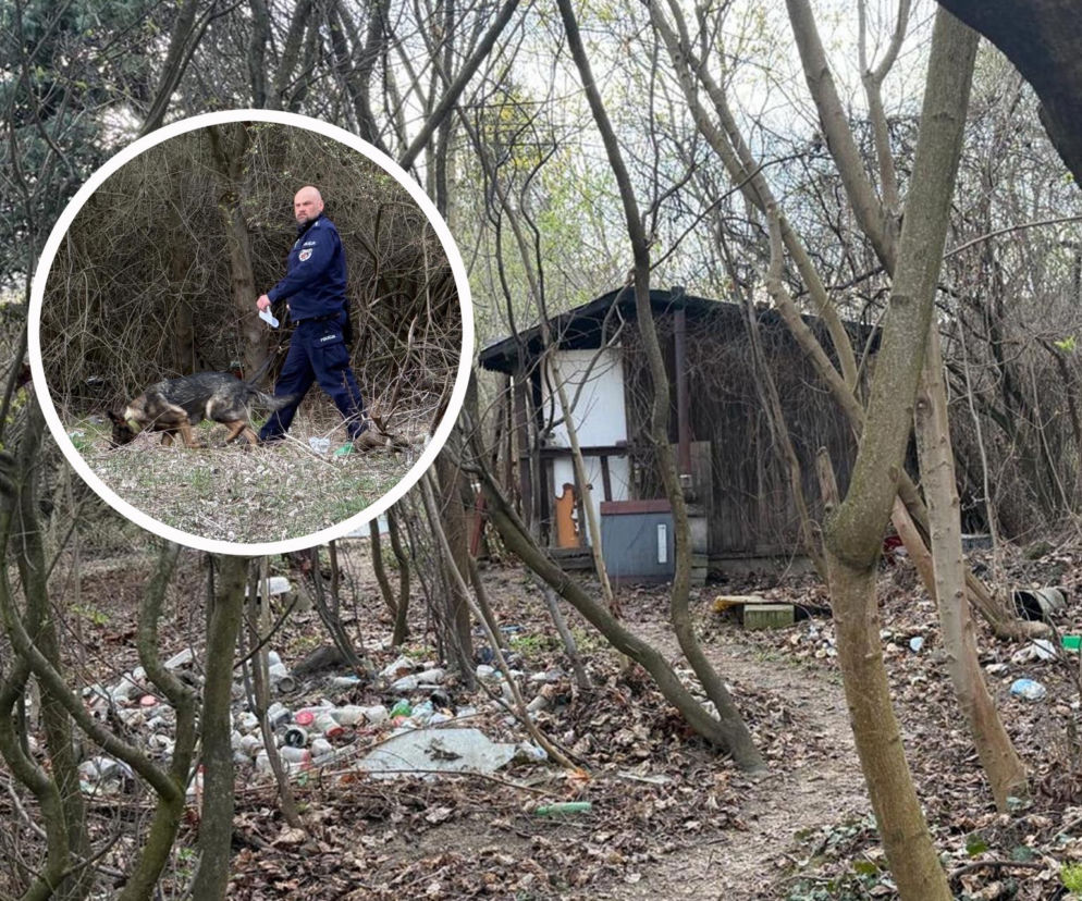 Wielkanocna awantura na ogródkach działkowych. Doszło do ataku nożem