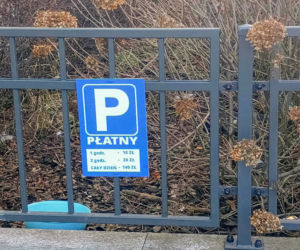 Sposób na mistrzów parkowania