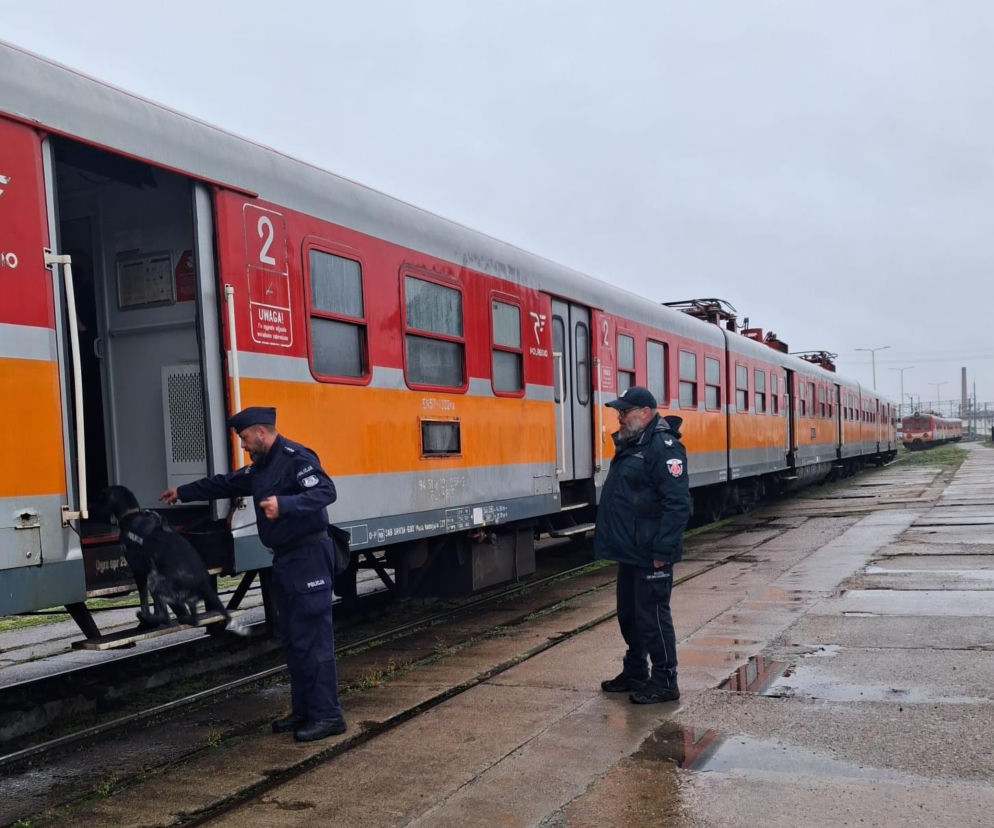 Czworonożni agenci w pociągach POLREGIO. Służby trenowały na bocznicy w Iławie