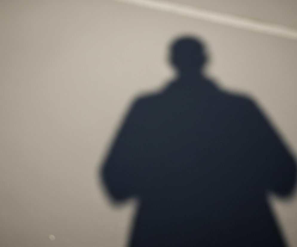 Na szarej, rozmytej powierzchni widoczny jest ciemny, rozmyty cień człowieka, ukazujący jego głowę i górną część tułowia. Cień ma wyraźny zarys ramion i karku, przypominając osobę w płaszczu. Na górze obrazu, po prawej stronie, przebiega jasna, rozmazana linia, oddzielająca jaśniejszy obszar od reszty tła.