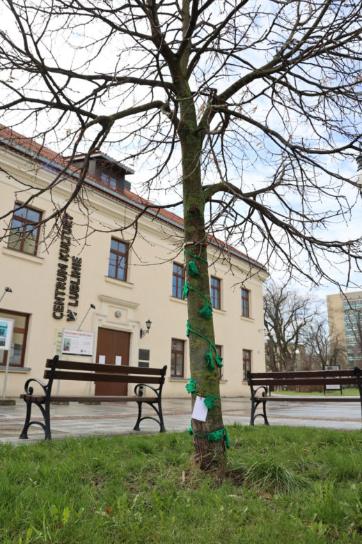 Kolorowe instalacje opanowały Lublin. Tak „Otulanie włóczką” świętuje swoje 10. urodziny!