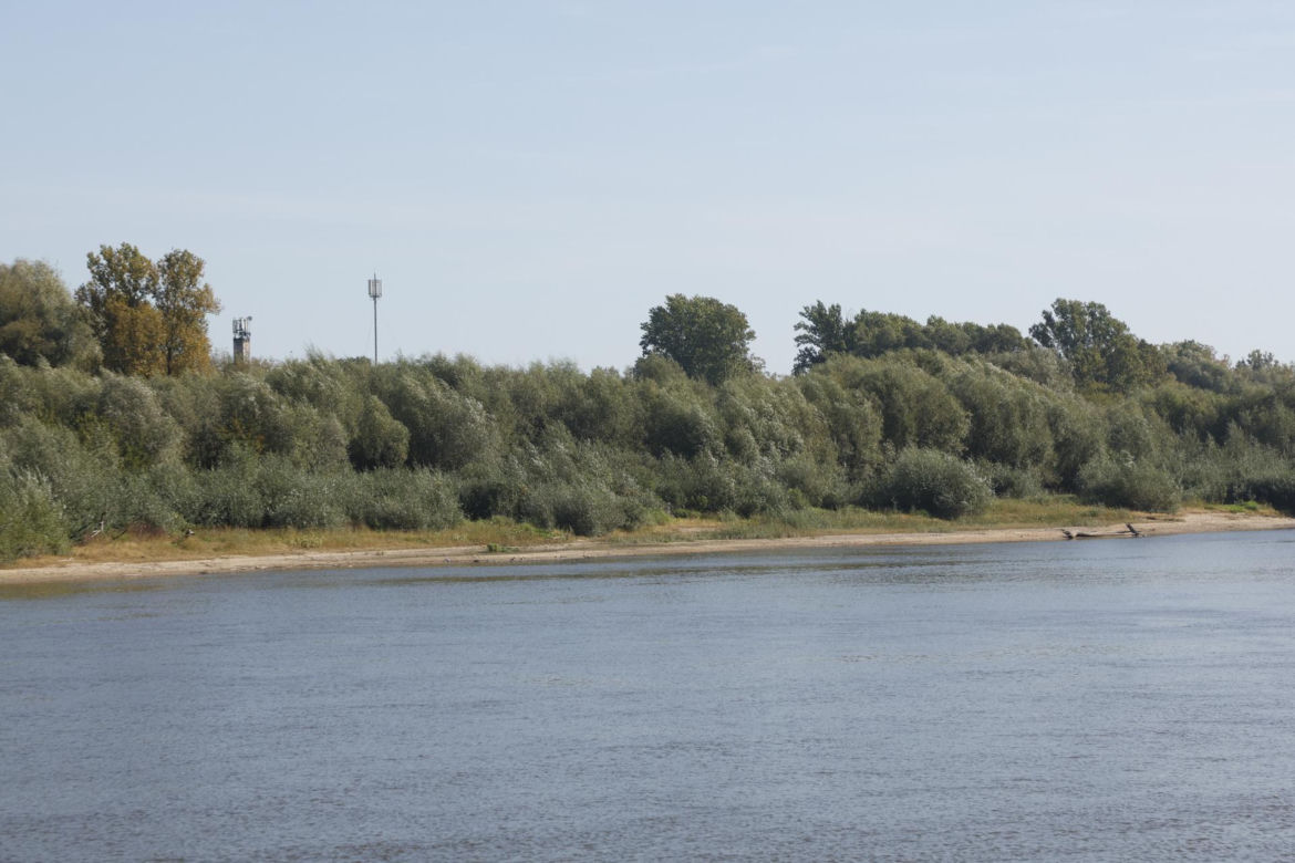  Rekordowy rok nad Wisłą. Tylu ludzi dawno tu nie było! „Chcemy przestrzeni, która sama się organizuje”