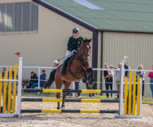 X Regionalne Zawody Jeździeckie i Hobby Horse w Tynwałdzie pod Iławą