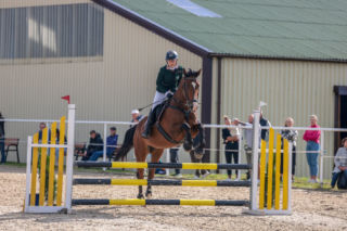 X Regionalne Zawody Jeździeckie i Hobby Horse w Tynwałdzie pod Iławą