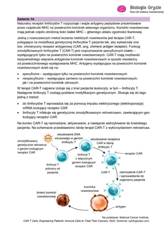 Matura 2026 biologia ROZSZERZONA: Arkusze CKE i odpowiedzi - sprawdź, czy zdałeś! 8.05.2026