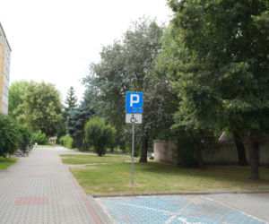 Dostał mandat, bo posprzątał przed blokiem i zadbał o trawnik