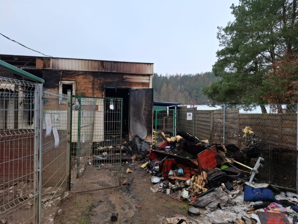 Pożar w schronisku "Dąbrówka" pod Wejherowem. Blisko trzydzieści zwierząt nie żyje. "Wszyscy tu ryczą"