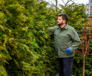 Wiosenne porządki w ogrodzie