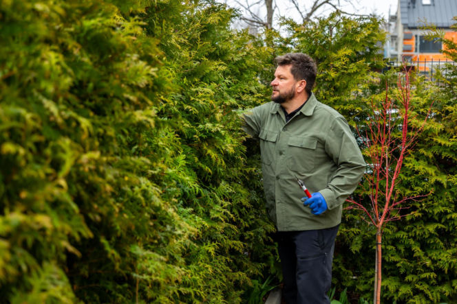 Wiosenne porządki w ogrodzie