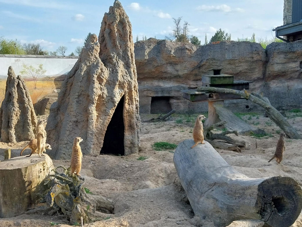 Wiosenny spacer w zamojskim zoo