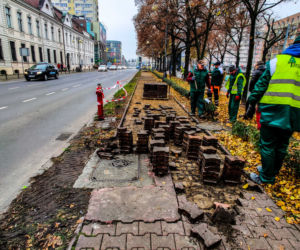 Likwidacja nieużywanej ścieżki rowerowej