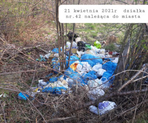 Wreszcie sprzątają śmietnik w parku przy jeziorku czerniakowskim
