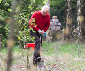 STEFAN NIESIOŁOWSKI.