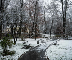 Skawiński park w zimowej otoczce