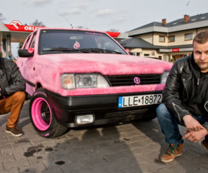 Włochaty polonez rządzi