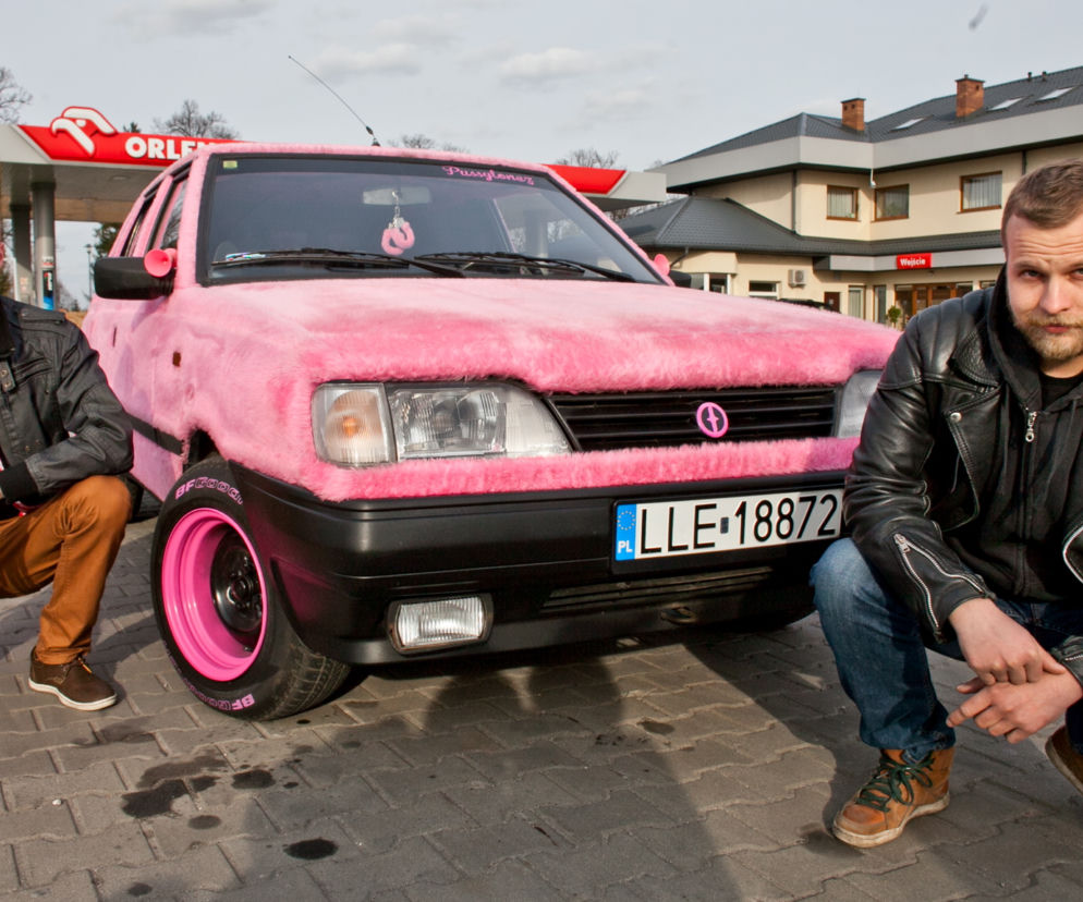 Włochaty polonez rządzi