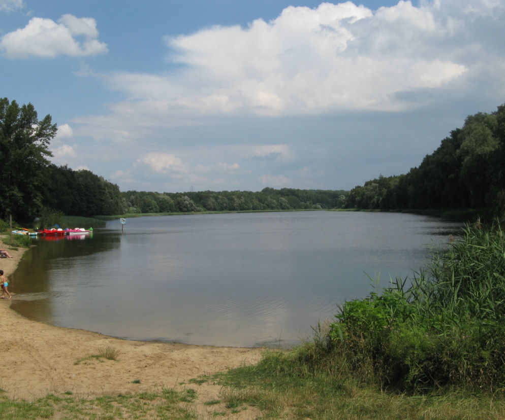 Rogoźnik 2