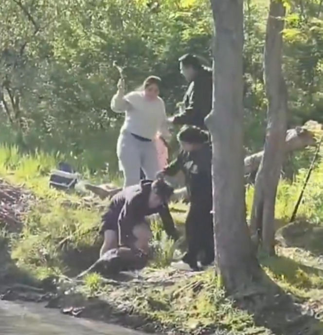 Bóbr zaatakował dziecko! Szokujące wideo w sieci