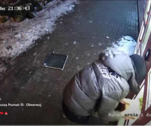 Roztrzaskał kwiatomat i uciekł z bukietem! „To boli bardziej niż strata pieniędzy”