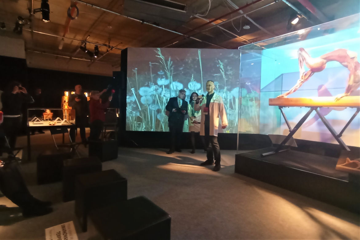 Wystawa Body Worlds w Szczecinie