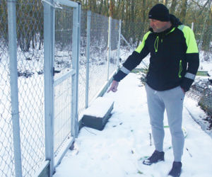 Wataha psów terroryzuje wieś. „Nie zaatakowały z głodu. To była napaść, by zabić”