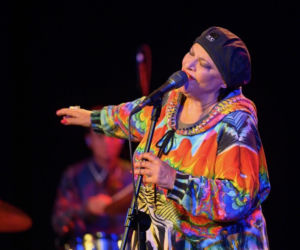 materiały organizatora