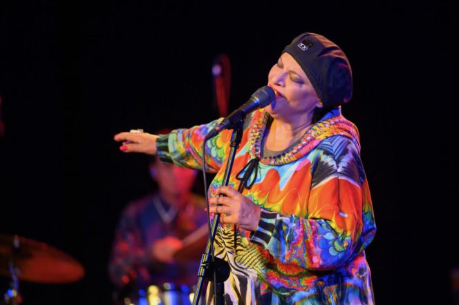 materiały organizatora