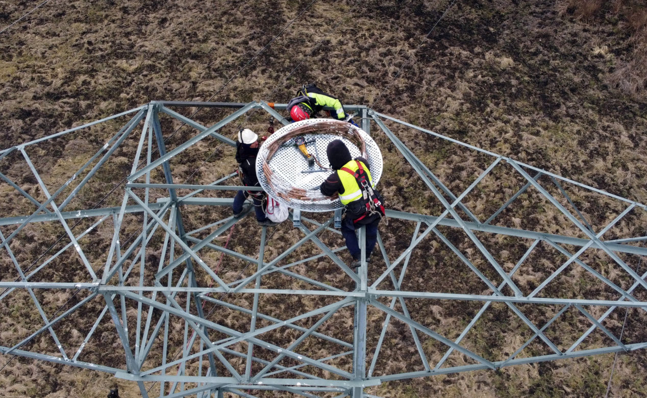 Montaż platformy lęgowej dla rybołowów w Nadleśnictwie Kliniska w okolicach miejscowości Inoujście 