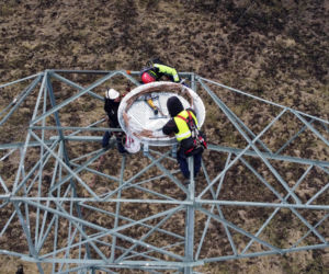 Montaż platformy lęgowej dla rybołowów w Nadleśnictwie Kliniska w okolicach miejscowości Inoujście 