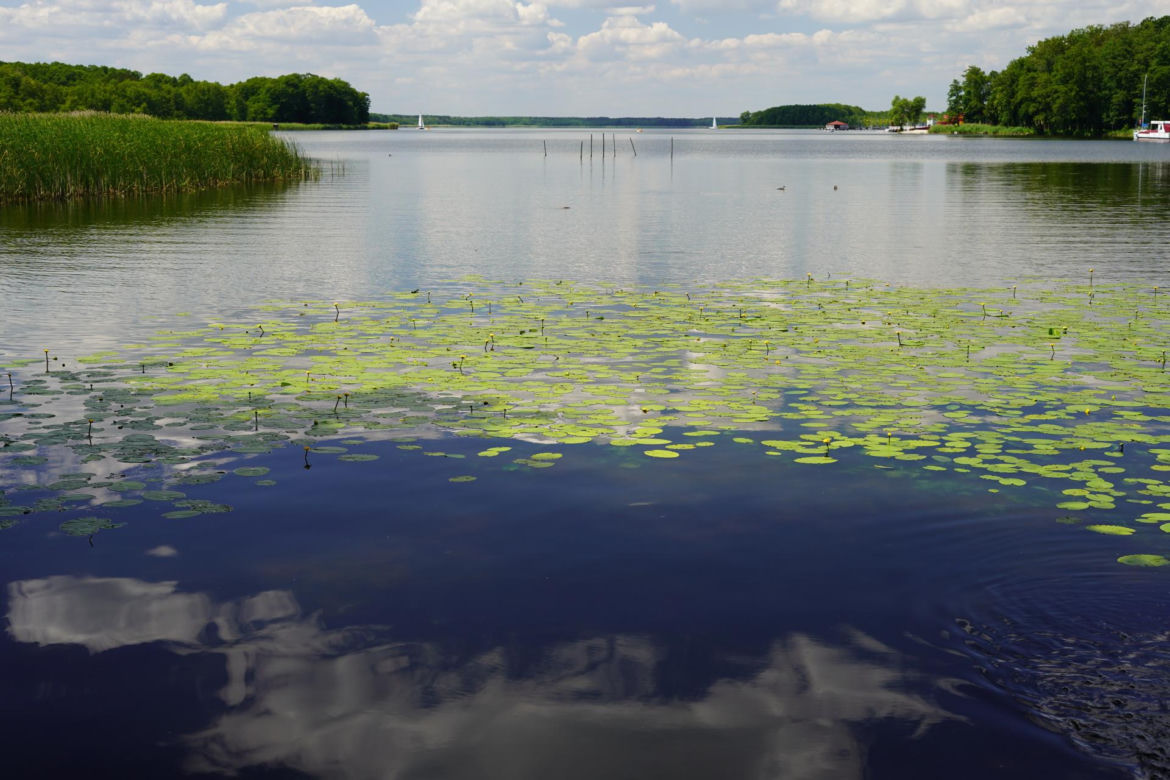 Jezioro Sławskie