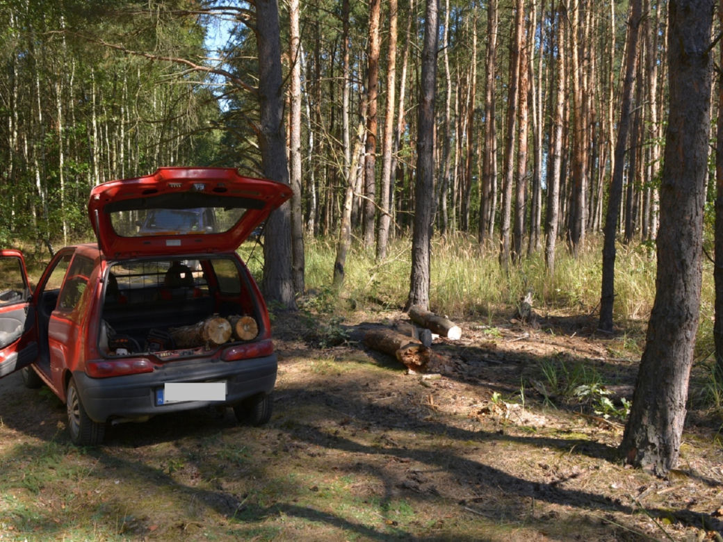 Złodzieje drewna wpadli w Kujawsko-Pomorskiem. Ładowali opał do seicento