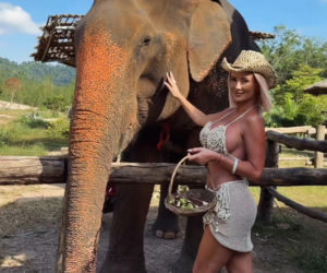 Gwiazdy witają nowy rok w bikini